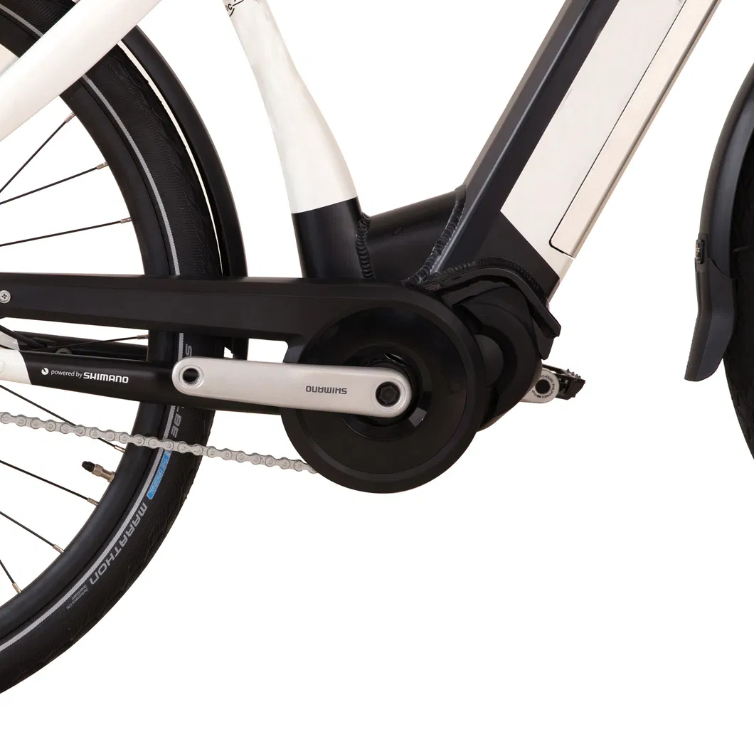28 Inch MID-Motor 350W Rear Rack Shimano Groupsets Step Thru City Electric Bike
