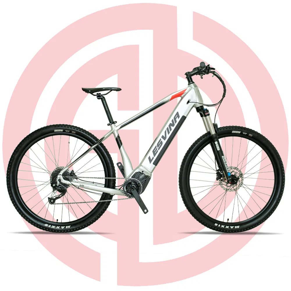 29"*18" Al Alloy Frame Bike Electric Bike E-Mountain Bicycle Emb