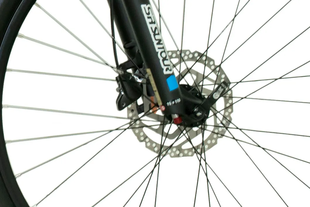 29"*18" Al Alloy Frame Bike Electric Bike E-Mountain Bicycle Emb