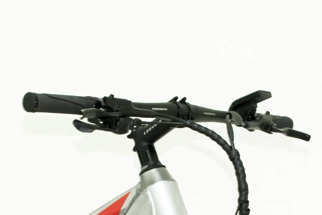 29"*18" Al Alloy Frame Bike Electric Bike E-Mountain Bicycle Emb