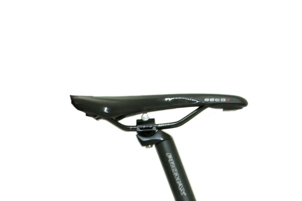 29"*18" Al Alloy Frame Bike Electric Bike E-Mountain Bicycle Emb