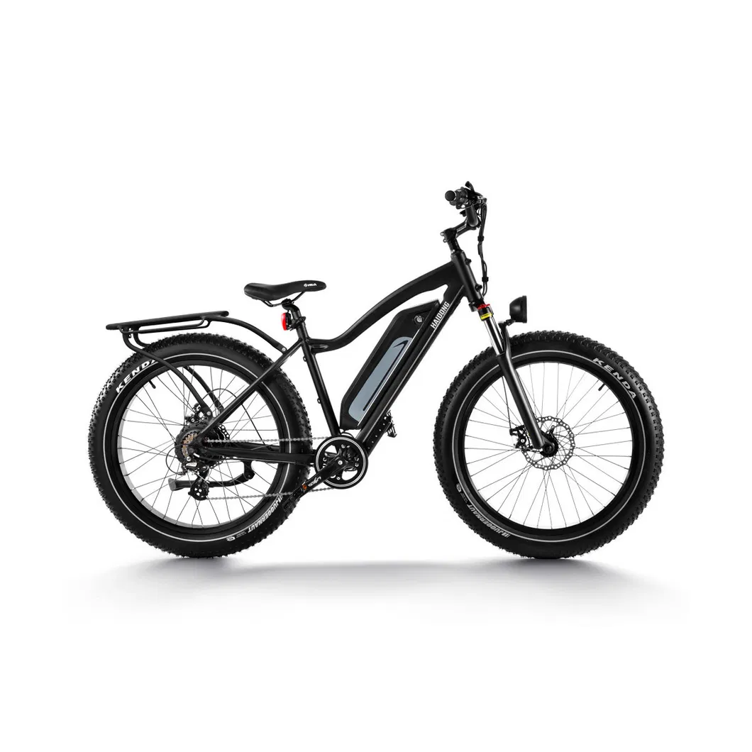 35-60 Miles Range Intelligent Electric Bike