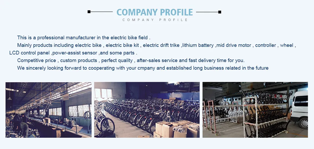 36-72V 3000W Big Power E-Bike Hub Motor Kit with 60/80A Sabvoton Programmable Controller