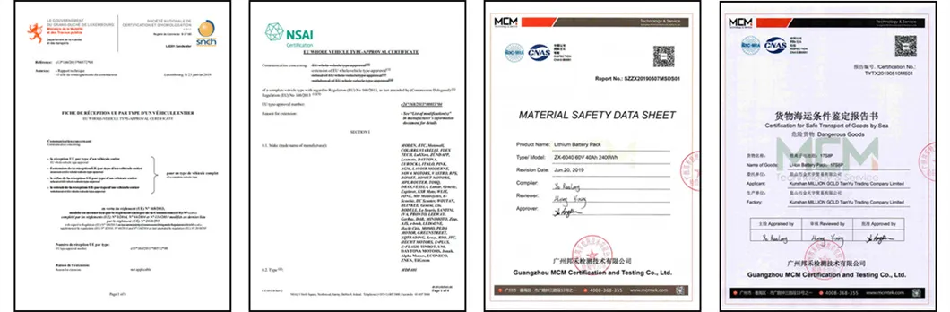 4000W Electric Bike Scooter for Adults Js2b 75km/H