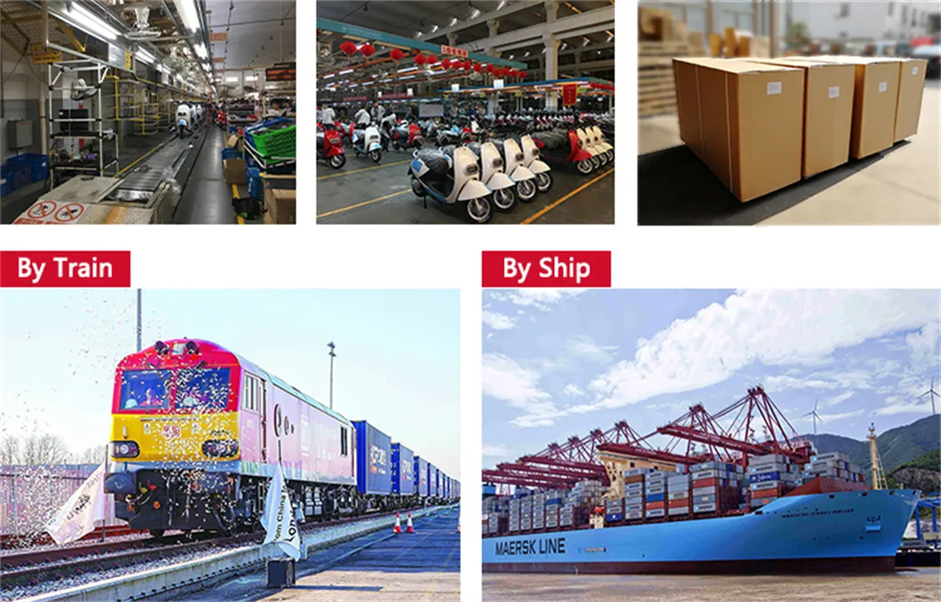 4000W Electric Bike Scooter for Adults Js2b 75km/H