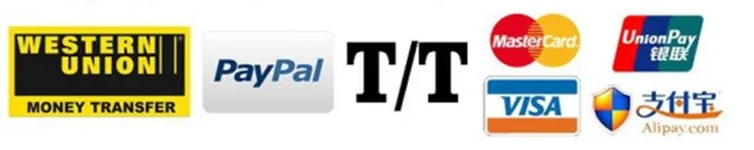 48V 1000W Bafang Bbshd MID Motor Kit with Speed Sensor