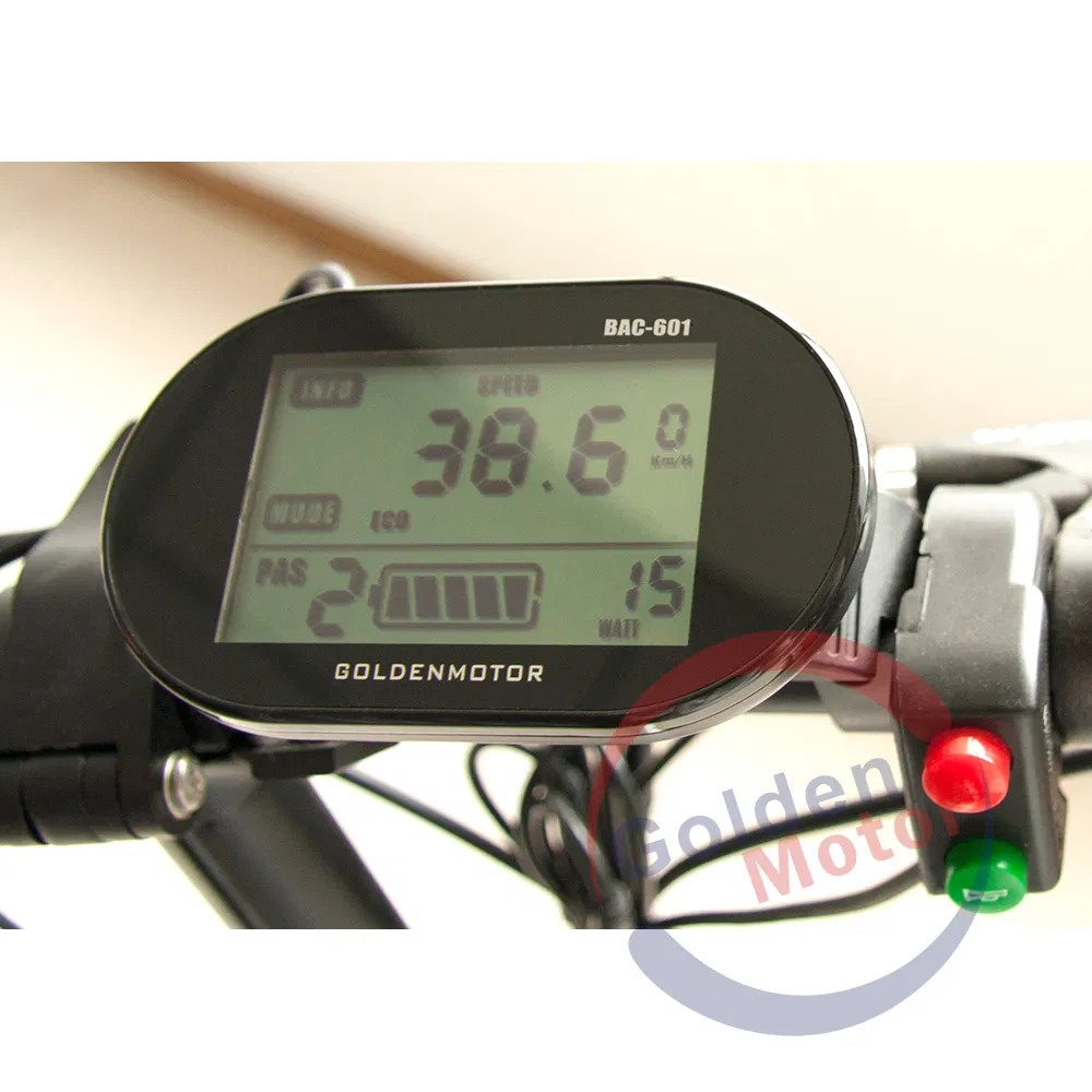 48V 1000W Power Electric Bike High Steep Hills /Fast/Coolest