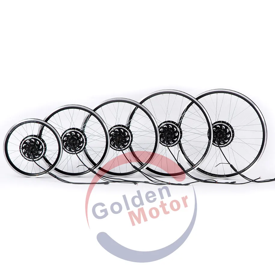 48V 1000W Power Electric Bike High Steep Hills /Fast/Coolest