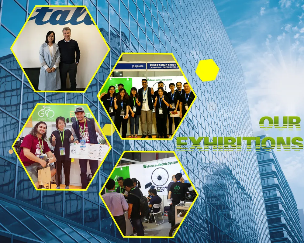 48V 500W Double Lithium Battery Fat Tire Wheel Hub Motor Electric Mountain Bike