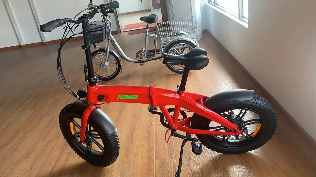 48V 500W Hidden Battery Folding Electric Bicycle for Hot Sale