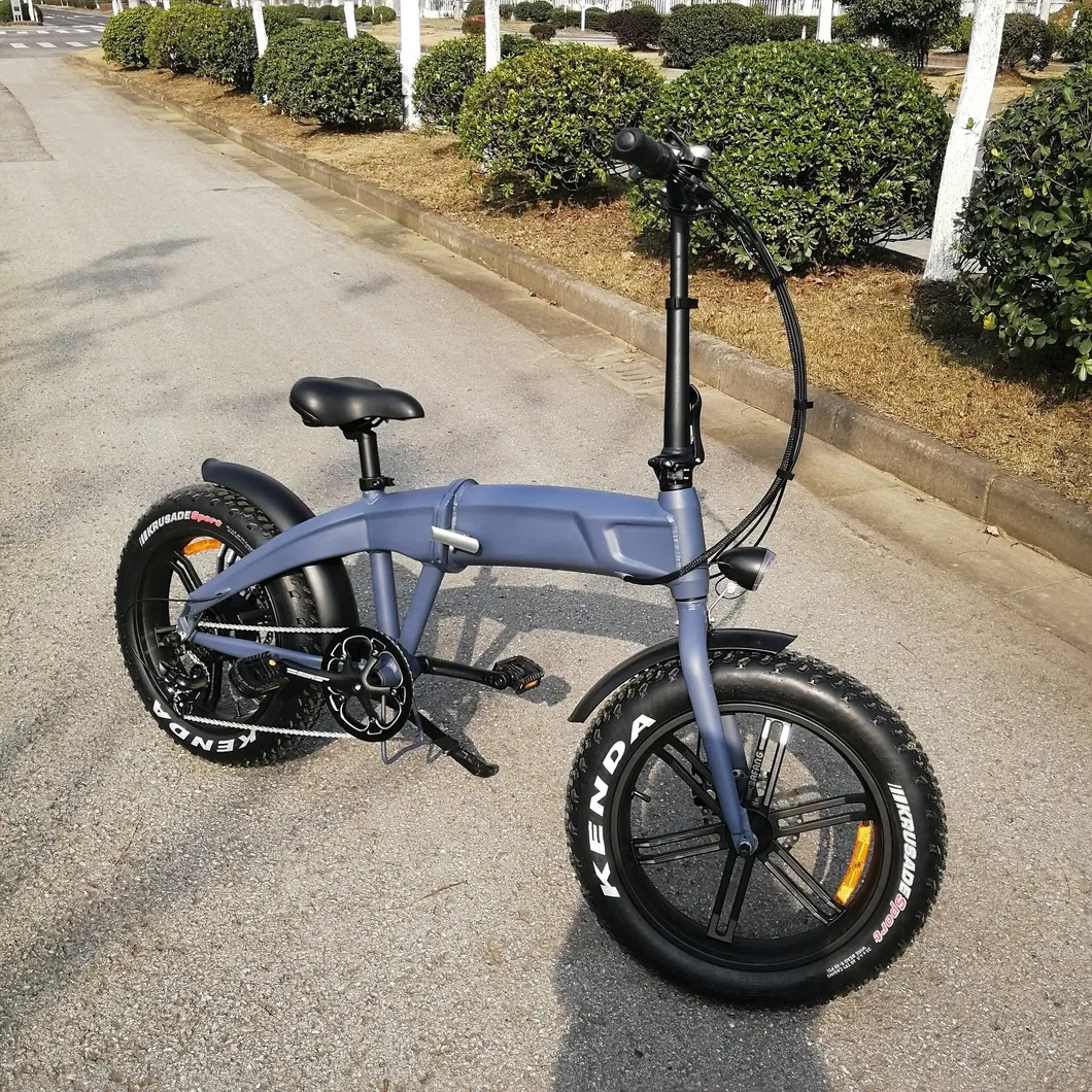 48V 500W Hidden Battery Folding Electric Bicycle for Hot Sale