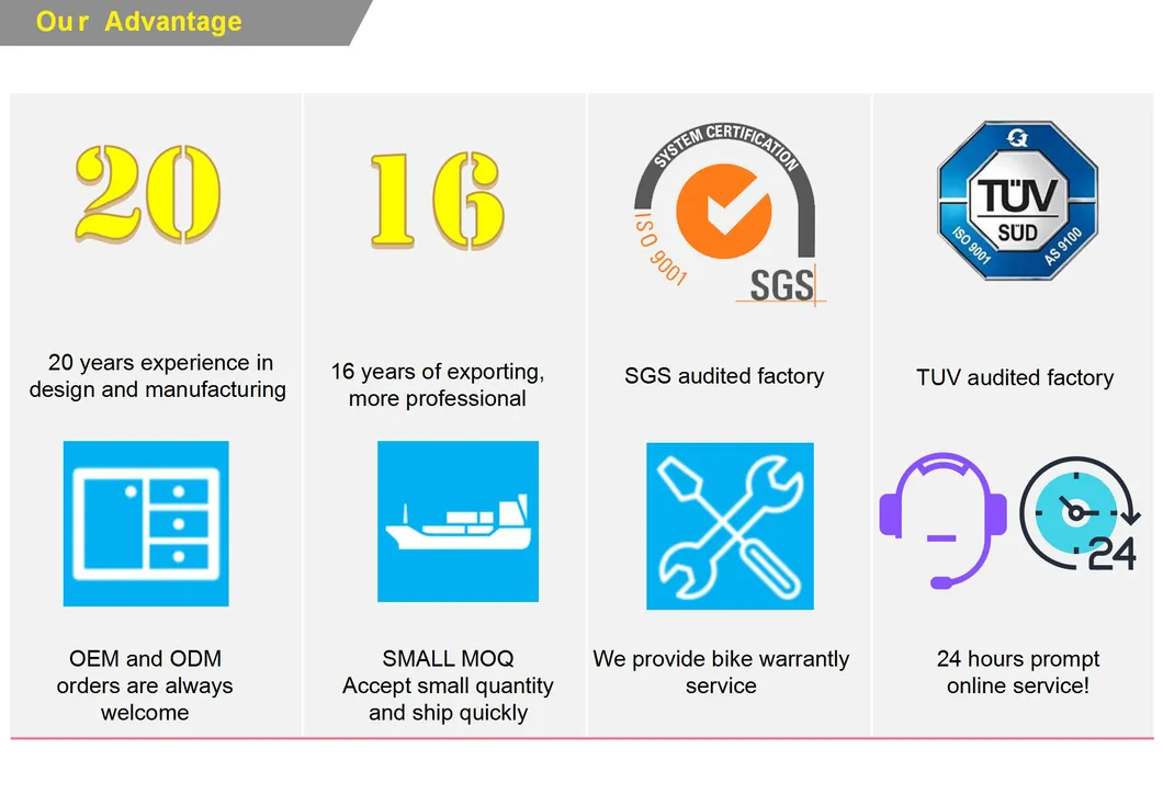 48W500 Electric Mountain Bike