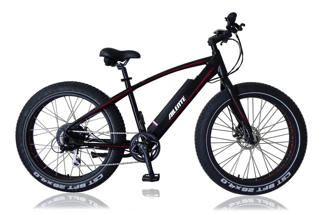 48W500 Electric Mountain Bike