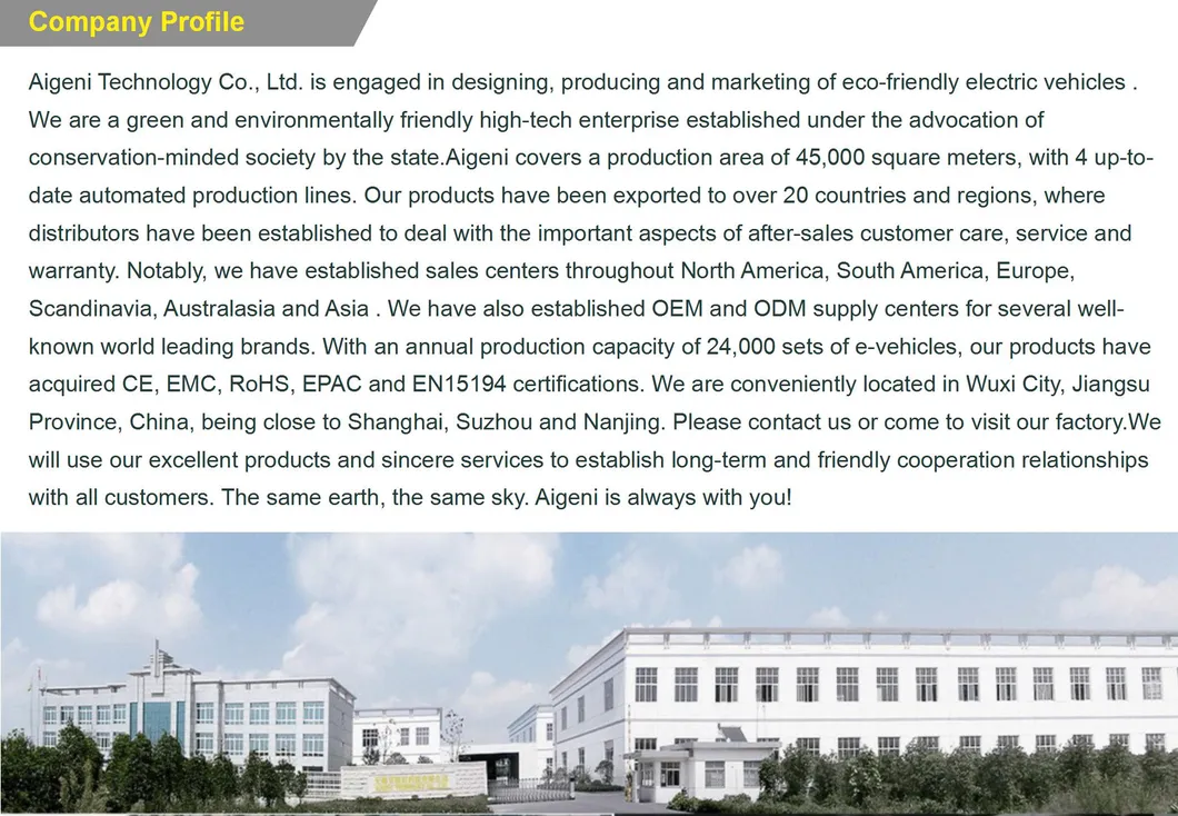 48W500 Electric Mountain Bike