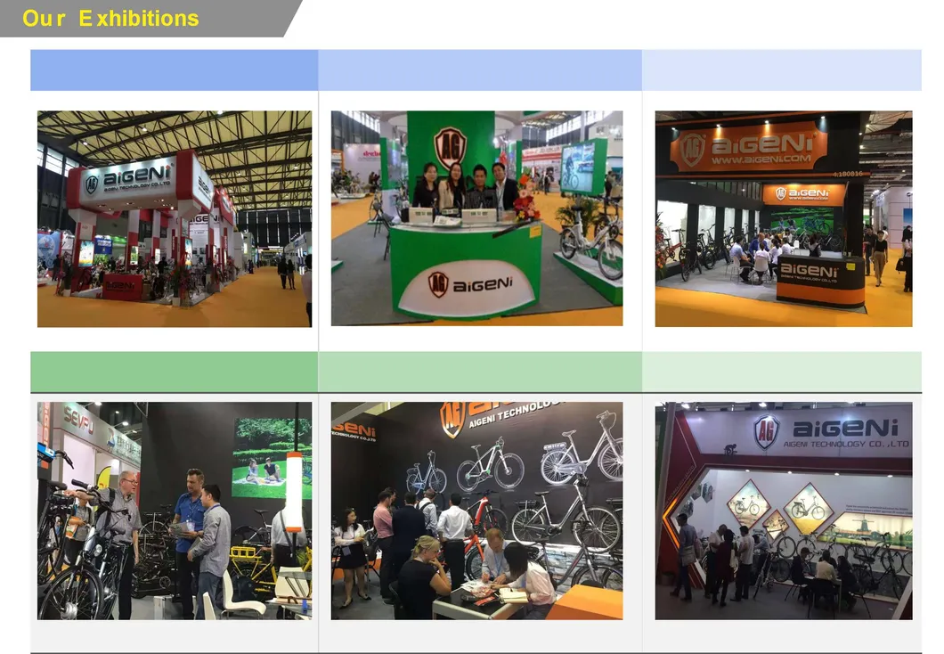 48W500 Electric Mountain Bike