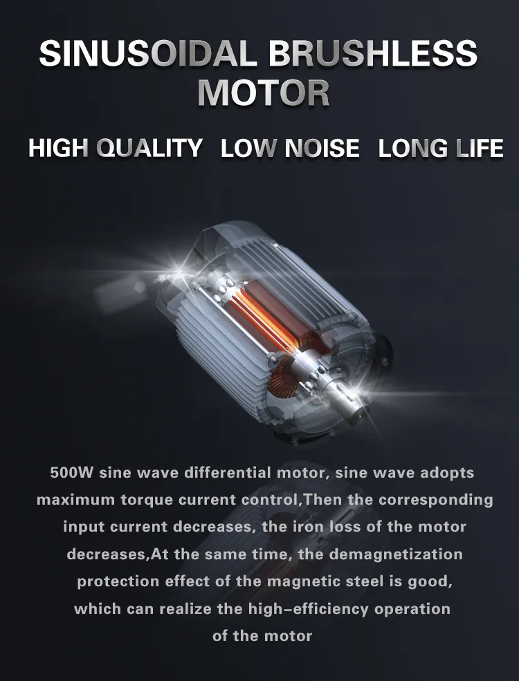 500W800W Stable 3 Wheel Electrico Triciclo Electric Tricycle for Aults