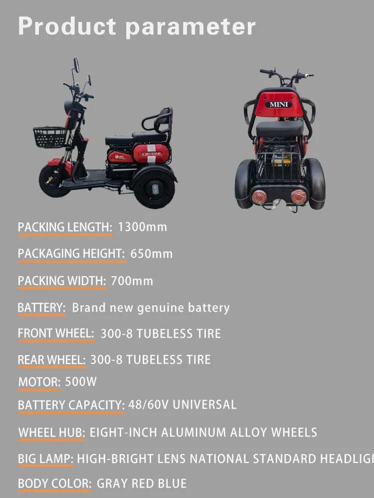500W800W Stable 3 Wheel Electrico Triciclo Electric Tricycle for Aults