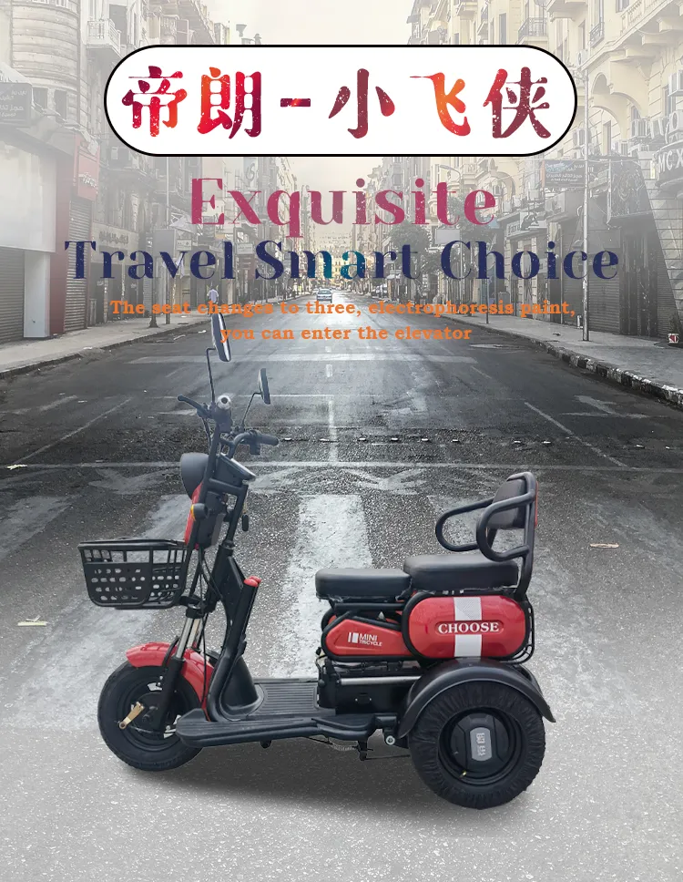 500W800W Stable 3 Wheel Electrico Triciclo Electric Tricycle for Aults