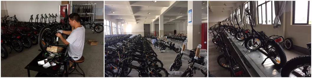 50km High Speed Big Tire Suspension Fat Electric Bike