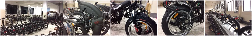 50km High Speed Big Tire Suspension Fat Electric Bike