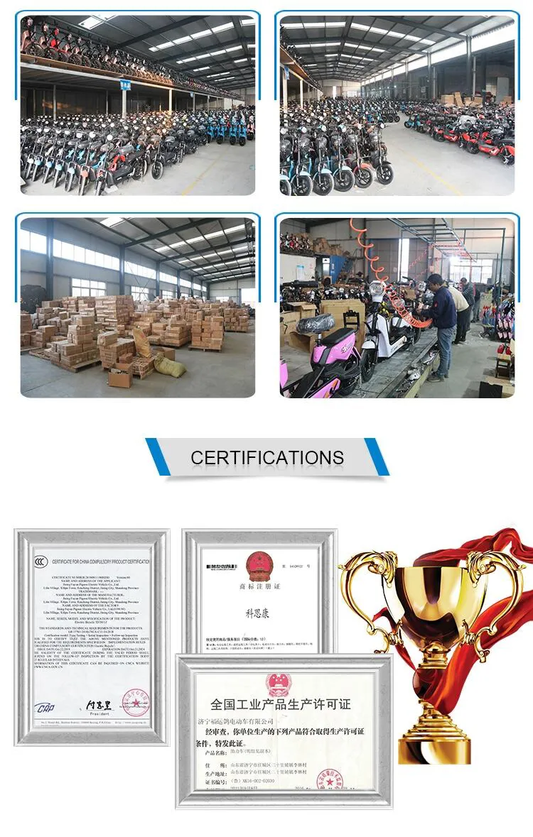 60 Km Electric Bike Hub Motor Not Foldable 500W Electric Bike 48V12A Three Wheel Electric Bike