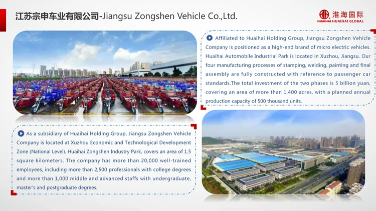 60V 1000W Leisure Life Tricycle Cargo for Sale