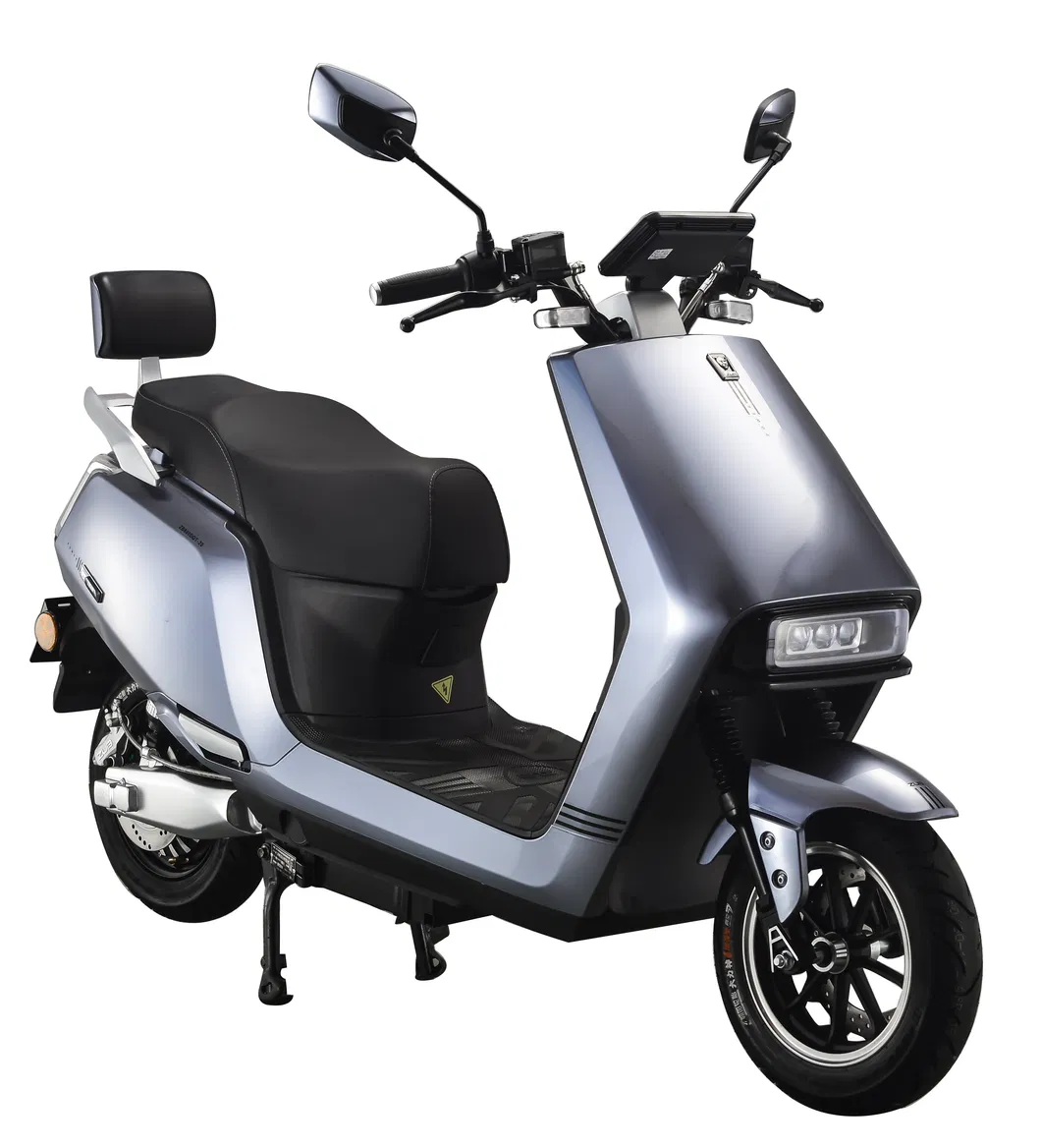 60V1000W Niu Style Electric Motorcycle with Pedal Big Screen Speed Meter