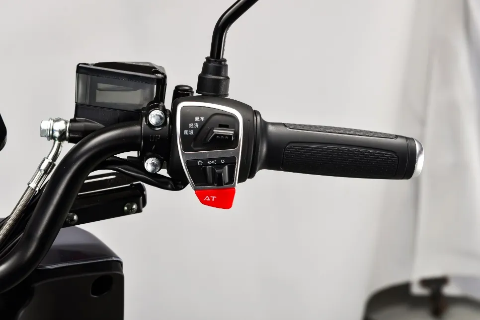 60V1000W Niu Style Electric Motorcycle with Pedal Big Screen Speed Meter