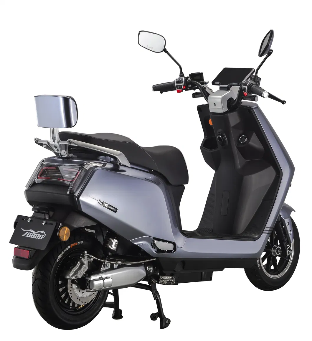 60V1000W Niu Style Electric Motorcycle with Pedal Big Screen Speed Meter