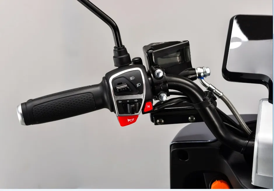 60V1000W Niu Style Electric Motorcycle with Pedal Big Screen Speed Meter