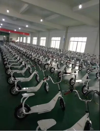 Adult Folding Self Balance E Scooter Electric 36V 10A Made in China Offers Cheap Price