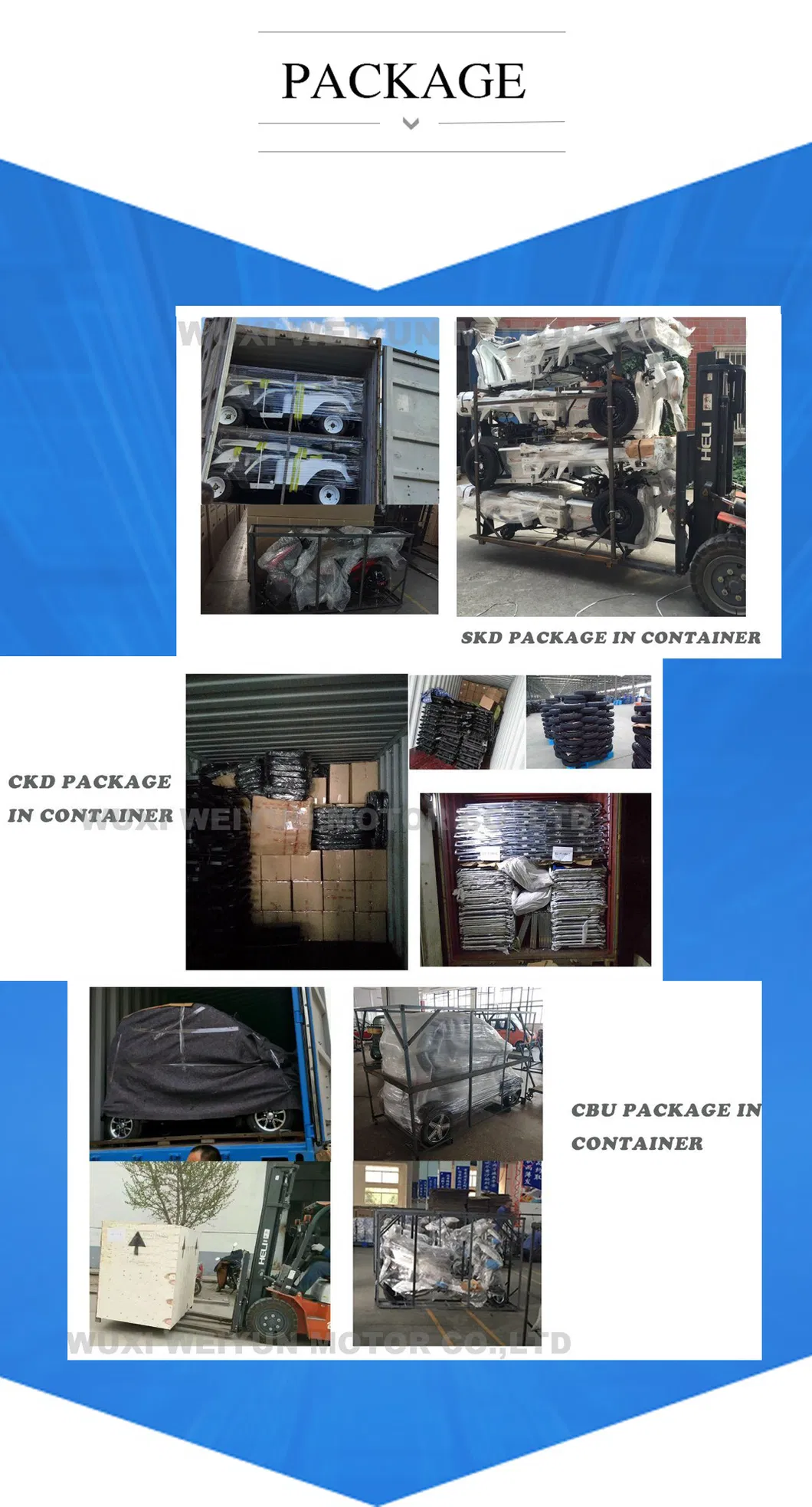 Adult Leisure 48V 500W Electric Tricycle / Trike