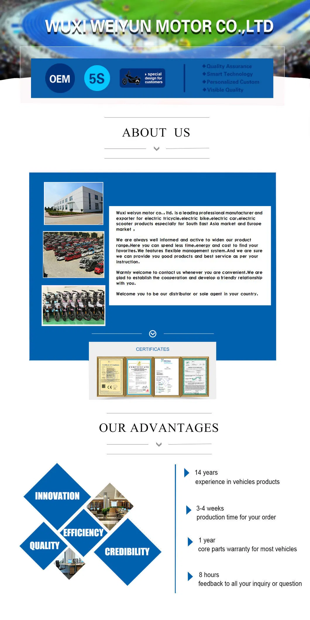 Adult Leisure 48V 500W Electric Tricycle / Trike