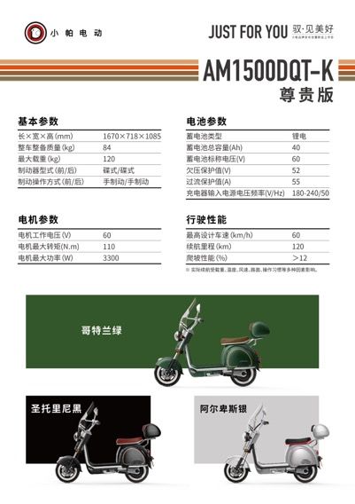 Aima Premium Electric Bike