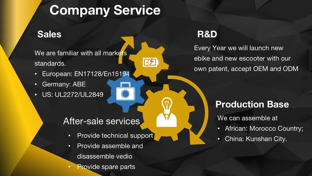 All Terrain Smooth Step Thru 19" MID-Motor 48V 500W Woman City Electric Bike