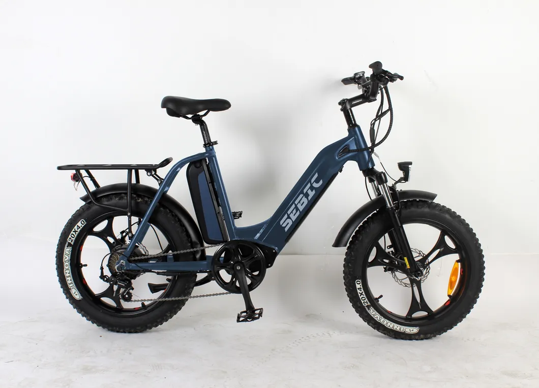 Aluminum Alloy Carton 910*465*740mm China Folding Electric Bike Ebike with ISO
