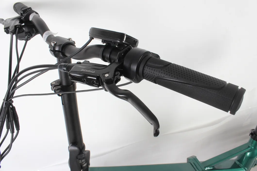 Aluminum Alloy ISO Approved Carton 910*465*740mm China Fat Ebike Bicycle Sebic