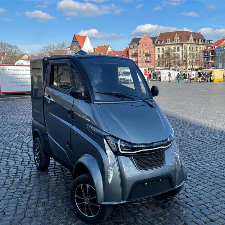 Automobile Mobility 3kw Motor Mini Electric Cargo Van