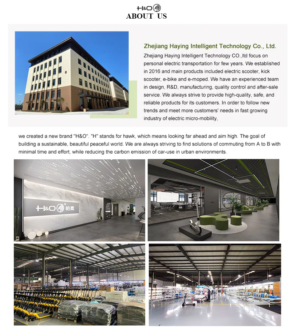 Batteria Motore Germania 350W 500 W Batterie off Road Al Litio Pedali Pieghevole Foldable Per Adulti Scooter Elettrico