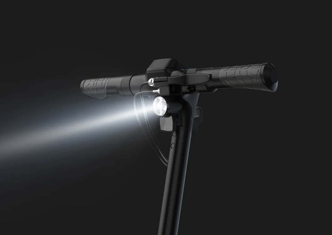 Batteria Motore Germania 350W 500 W Batterie off Road Al Litio Pedali Pieghevole Foldable Per Adulti Scooter Elettrico