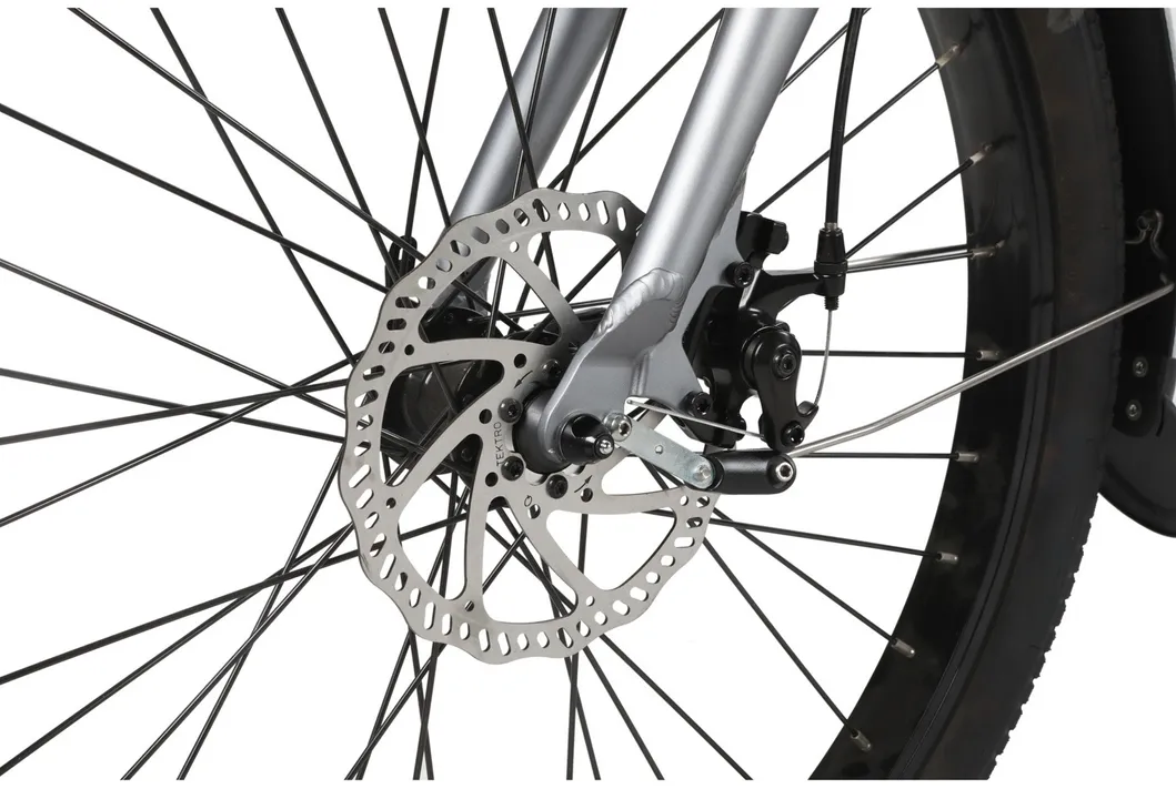 Beach Cruiser Fat Tyre Electric Mountain Bicycle Ebike with 250W Rear Motor