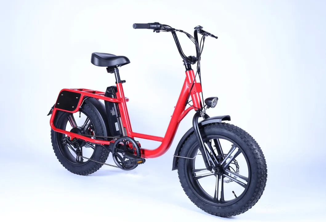 Bicycle 20inch Fat Tire City Electric Bike