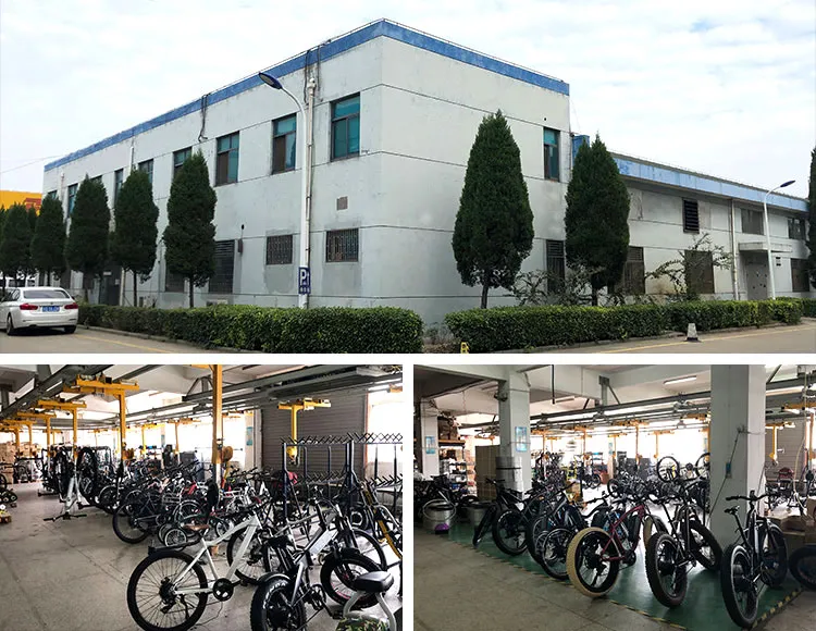 Bicycle Electric Bicycles for Adults Fast Electric Bicycle Long Range Enduro Ebike