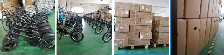 Bicycle Electric Bicycles for Adults Fast Electric Bicycle Long Range Enduro Ebike