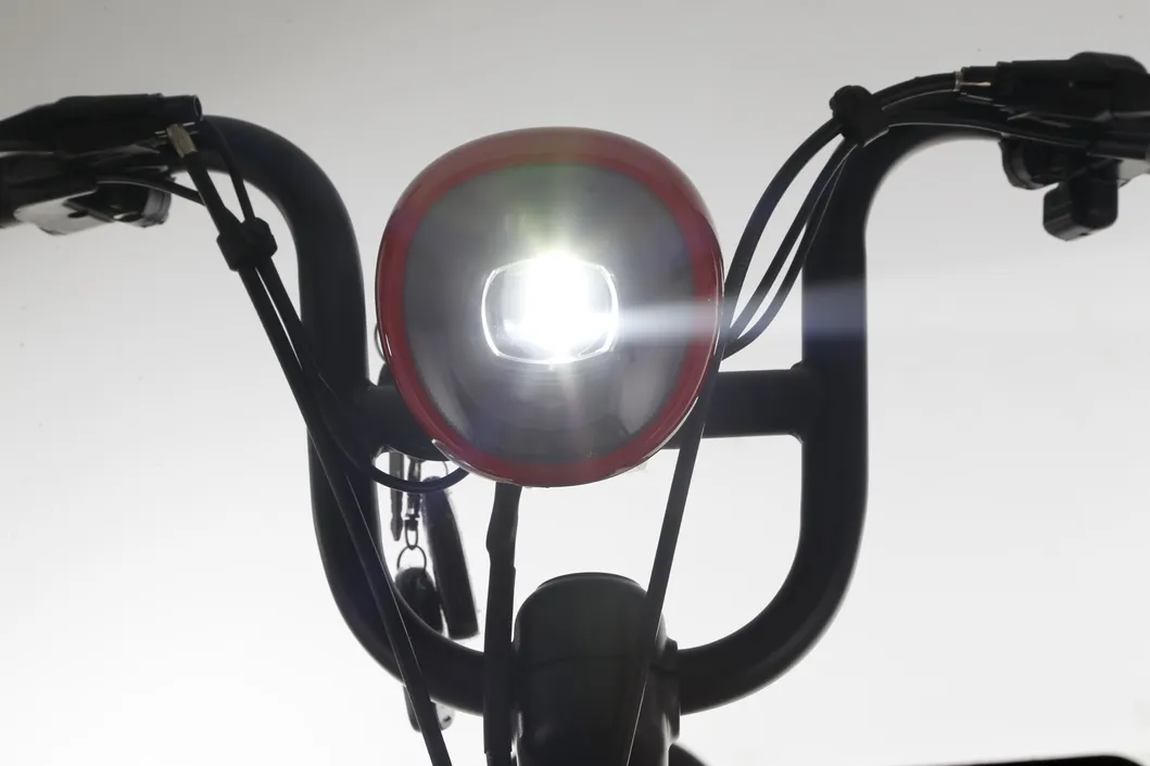 Big Battery Long Distance Bike Min Electric Bike FDD