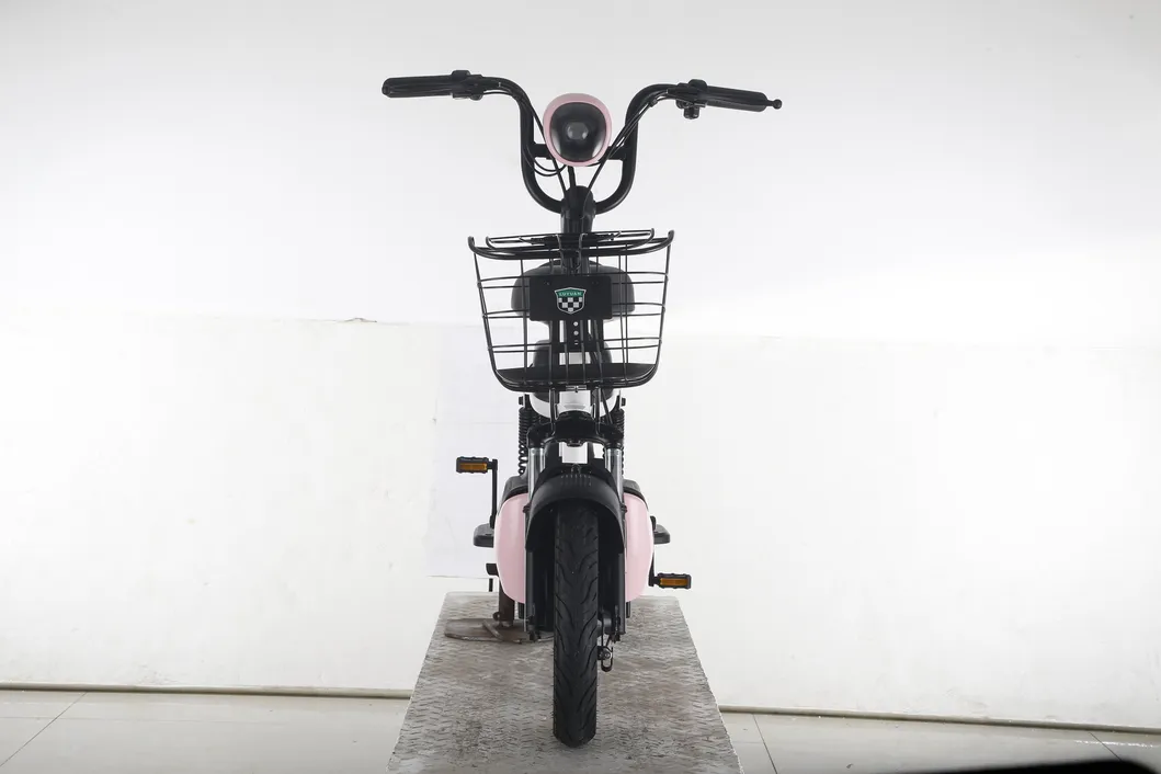 Big Battery Long Distance Bike Min Electric Bike FDD