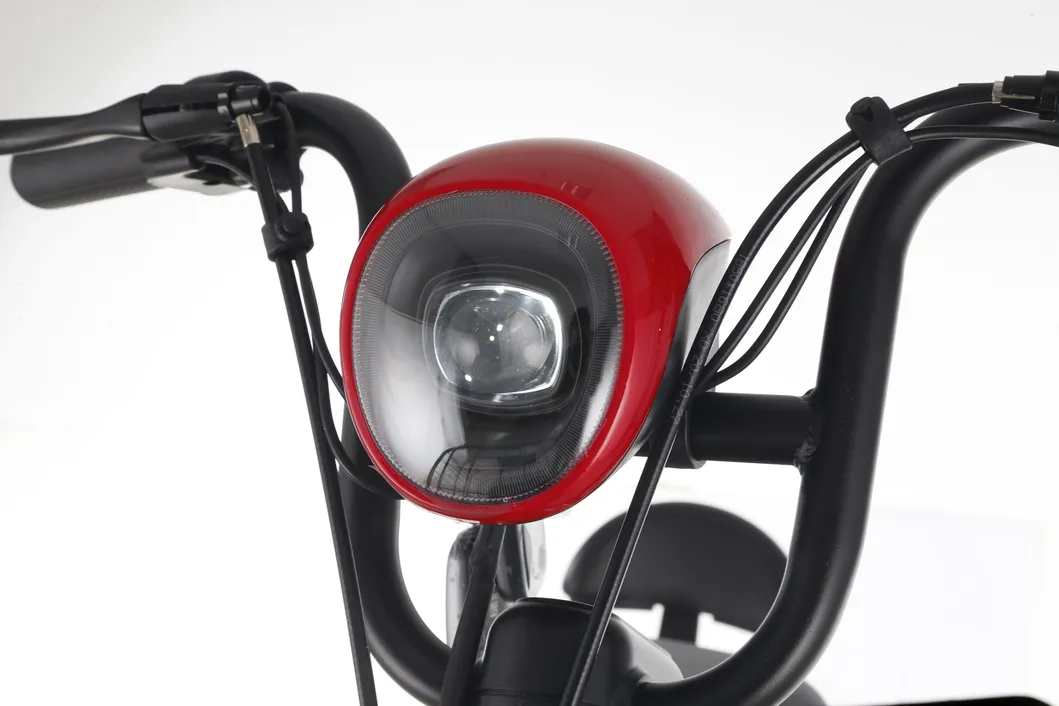 Big Battery Long Distance Bike Min Electric Bike FDD