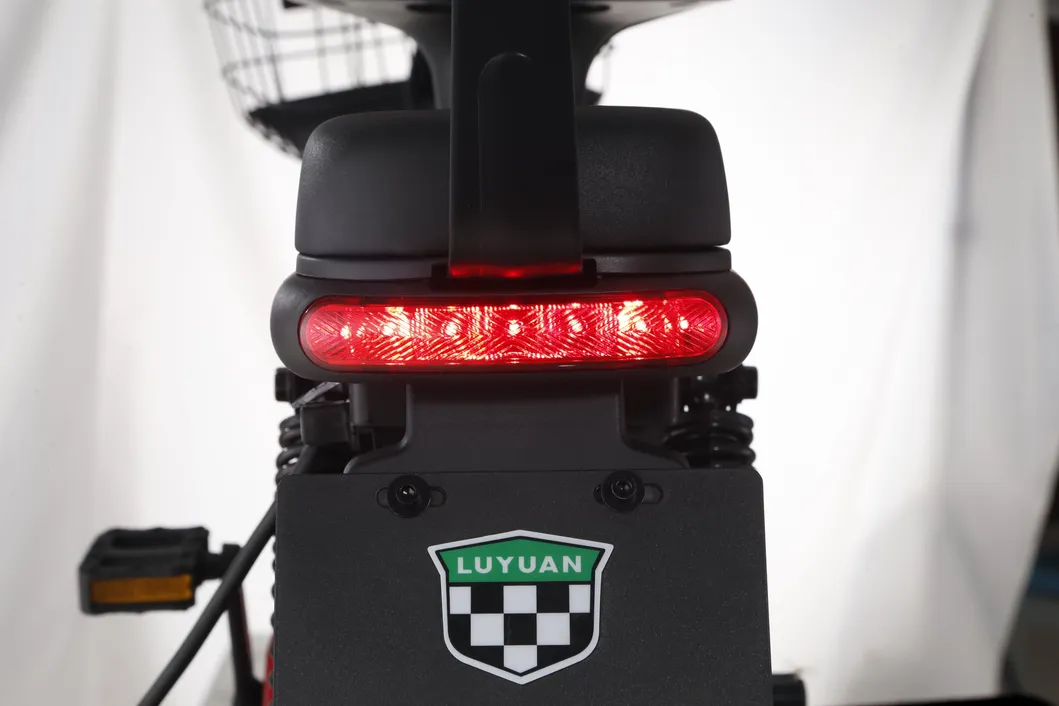 Big Battery Long Distance Bike Min Electric Bike FDD