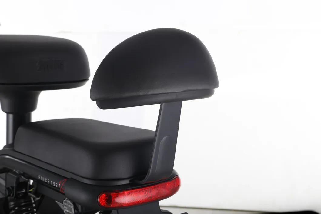 Big Battery Long Distance Bike Min Electric Bike FDD