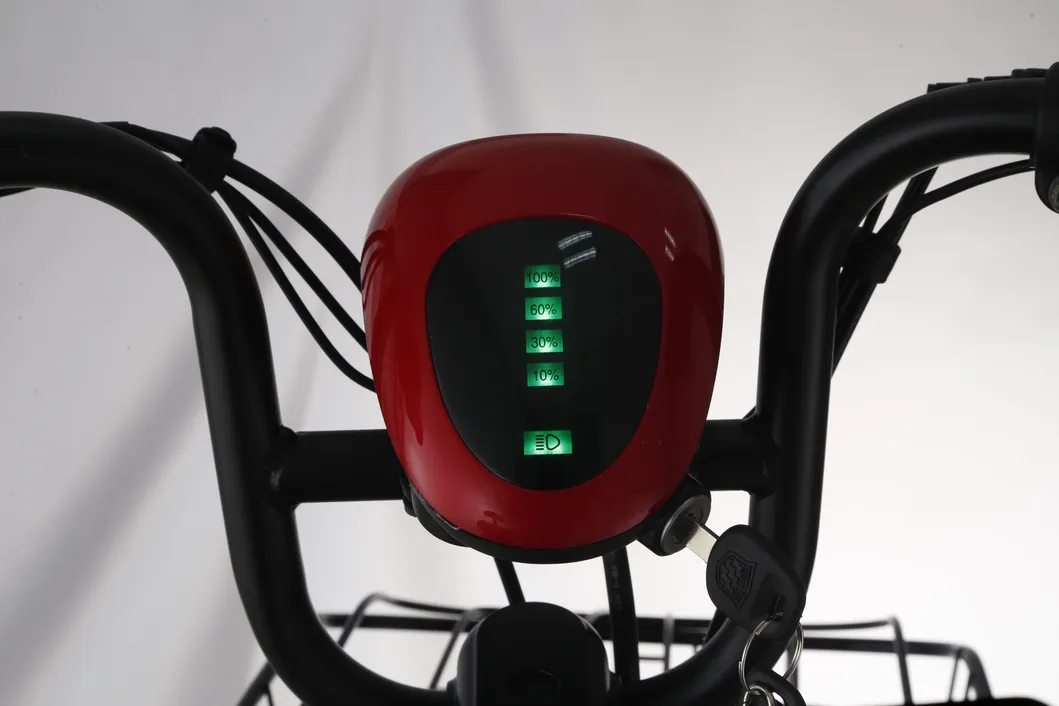 Big Battery Long Distance Bike Min Electric Bike FDD